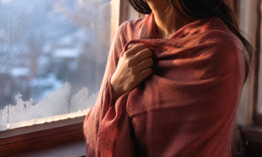 How to Identify a Genuine Pashmina Shawl (Complete Buyer's Guide)